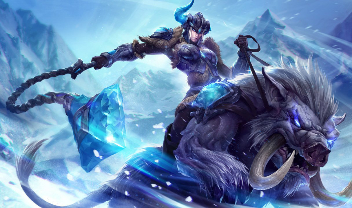 How to Become King of the Jungle: A Guide Through 5.11's Jungle