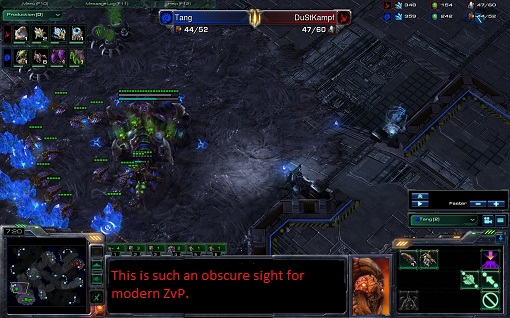 Weird to see in ZvP.