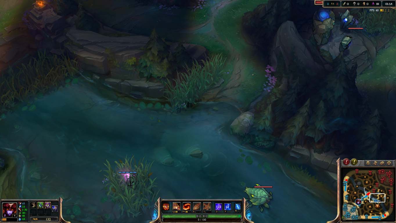 Jungler: the all around carry