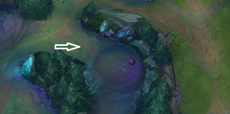 Tips for Playing Support