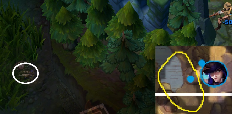 Purple Side Cait Trap Over Wall Caitlyn Trap Vision