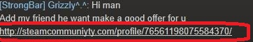 Steam Scammer