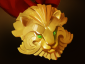 Medallion of Courage Medallion