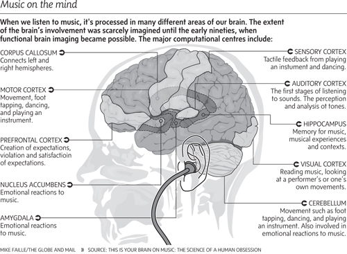 This is your Brain on Music