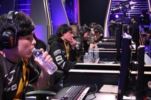 LCS Summer Promotion 48 pics