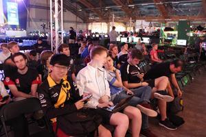 Dreamhack Summer 2015 - Day 1