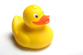 DrDuckling
