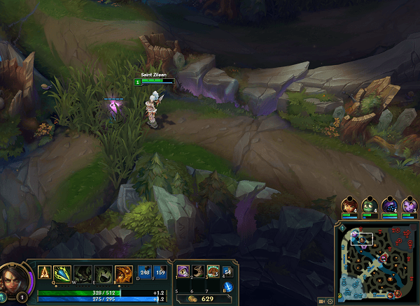 Vision is Key: An All-Round Warding Guide