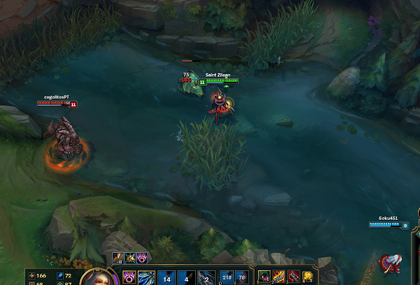 Vision is Key: An All-Round Warding Guide