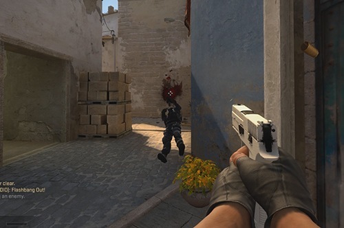 In-Depth Look: How to Use the P250 Effectively