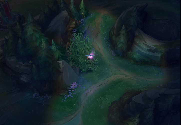 The Road Best Travelled: Efficient Jungle Pathing