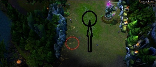 How It Works: Support Trundle