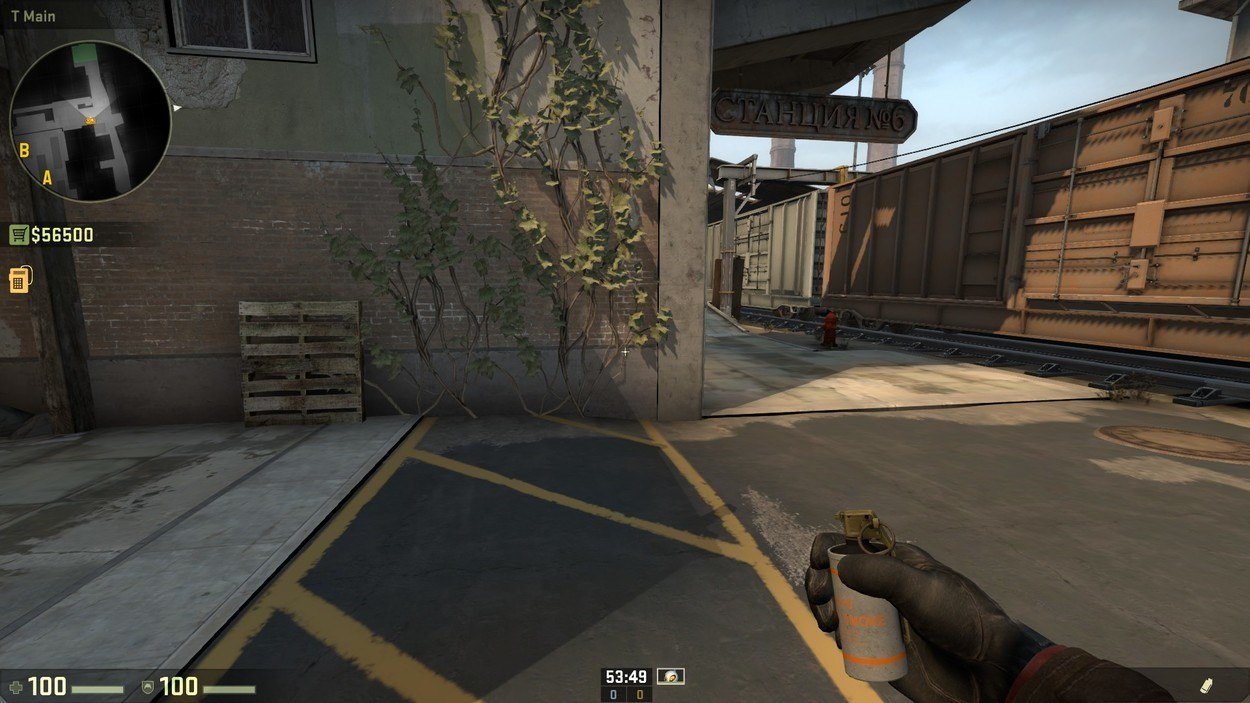 Easy-to-Use Executes for Terrorist Side Train