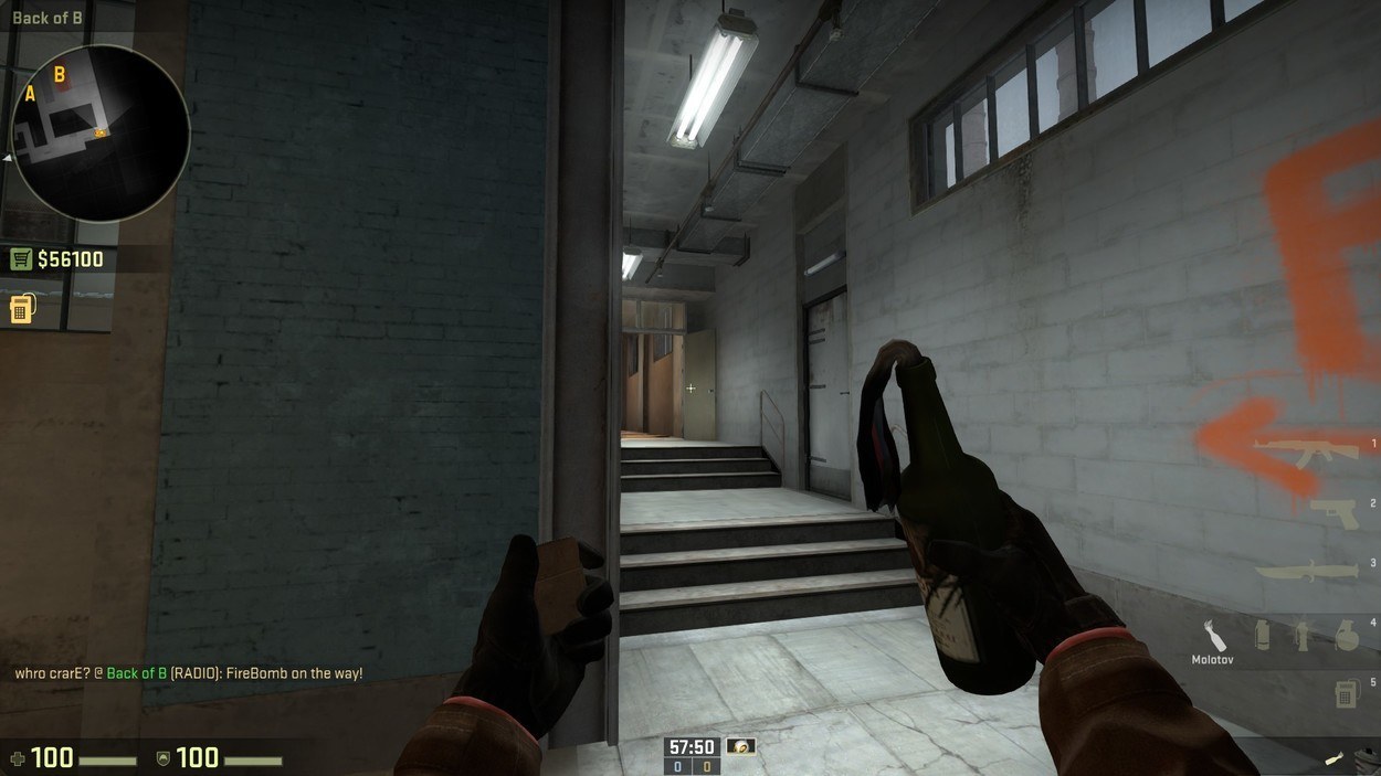 Easy-to-Use Executes for Terrorist Side Train
