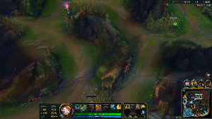 How to get vision in the enemy jungle as a support and what to do with it