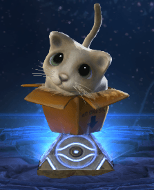The Ins and Outs of Solo Lane: When and How to Rotate
