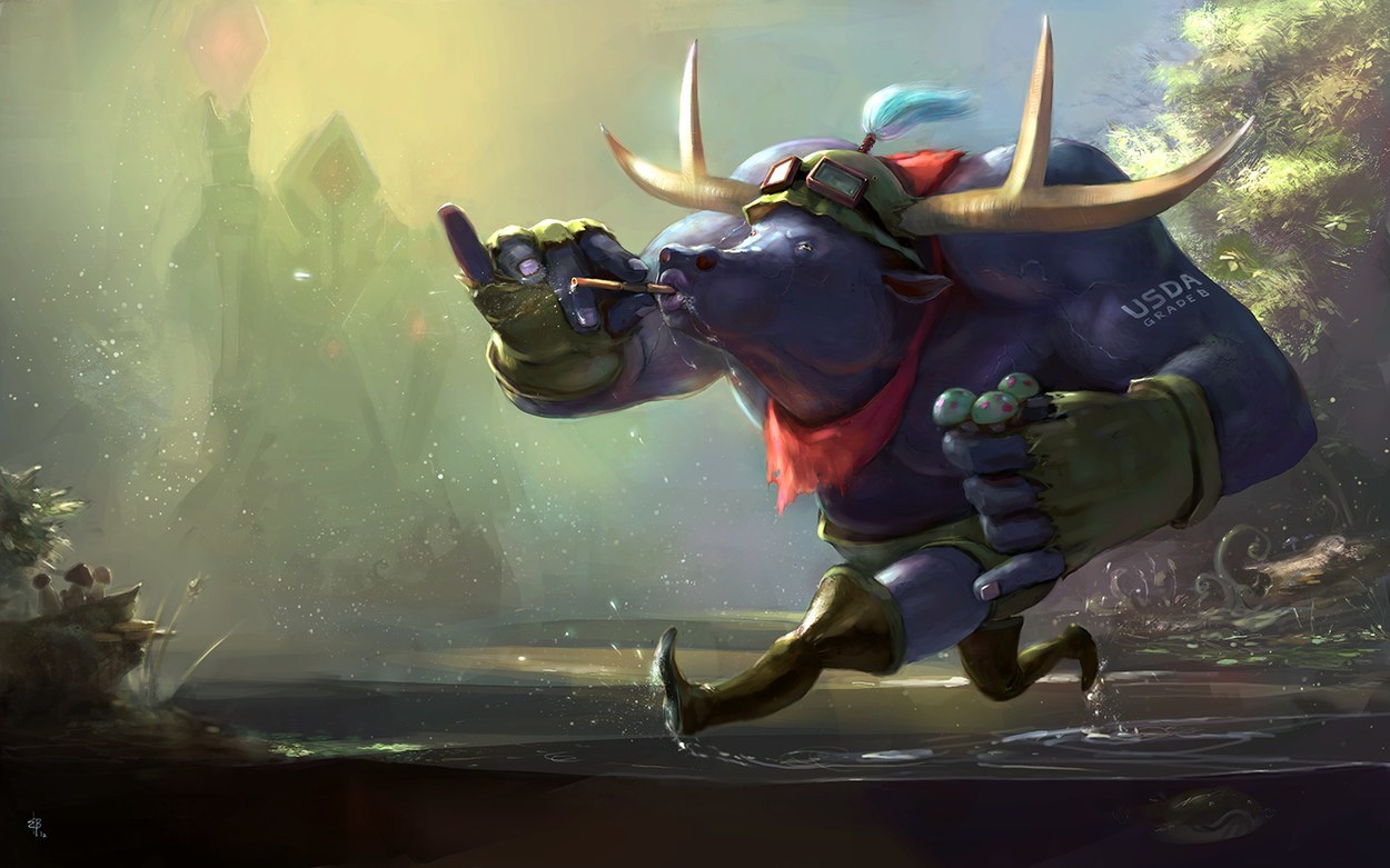 An In-Depth Support Guide: When to Pick Which Support?