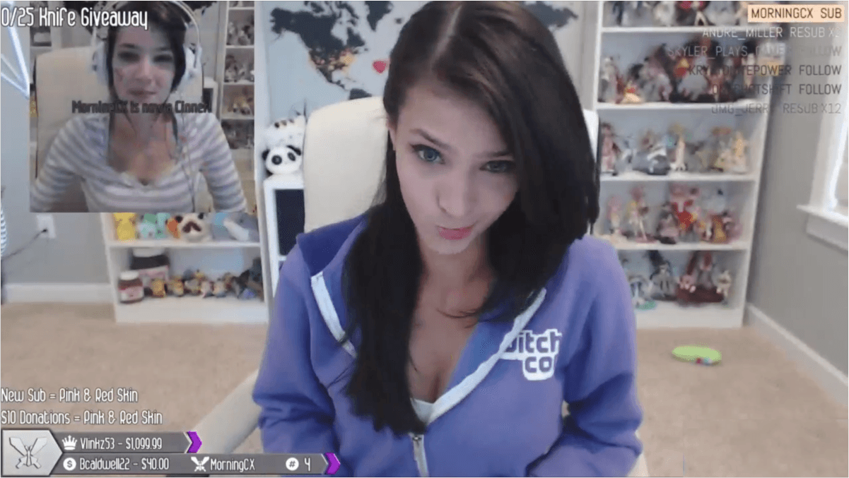 Interview with Twitch streamer, CinCinBear