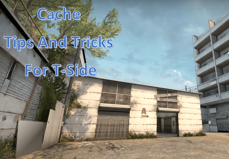 Cache Tips And Tricks For T-Side