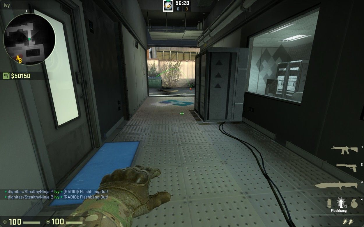A CSGO Guide to the Ivy Position on Train