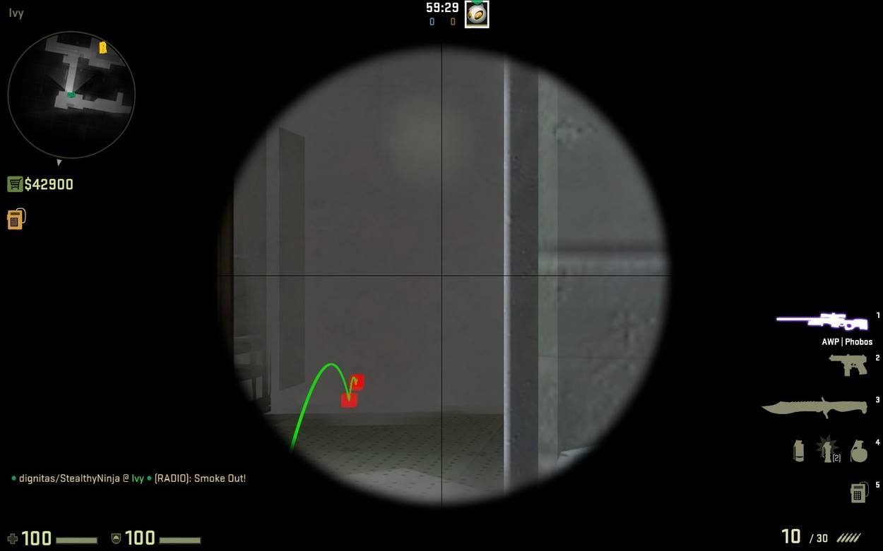 A CSGO Guide to the Ivy Position on Train