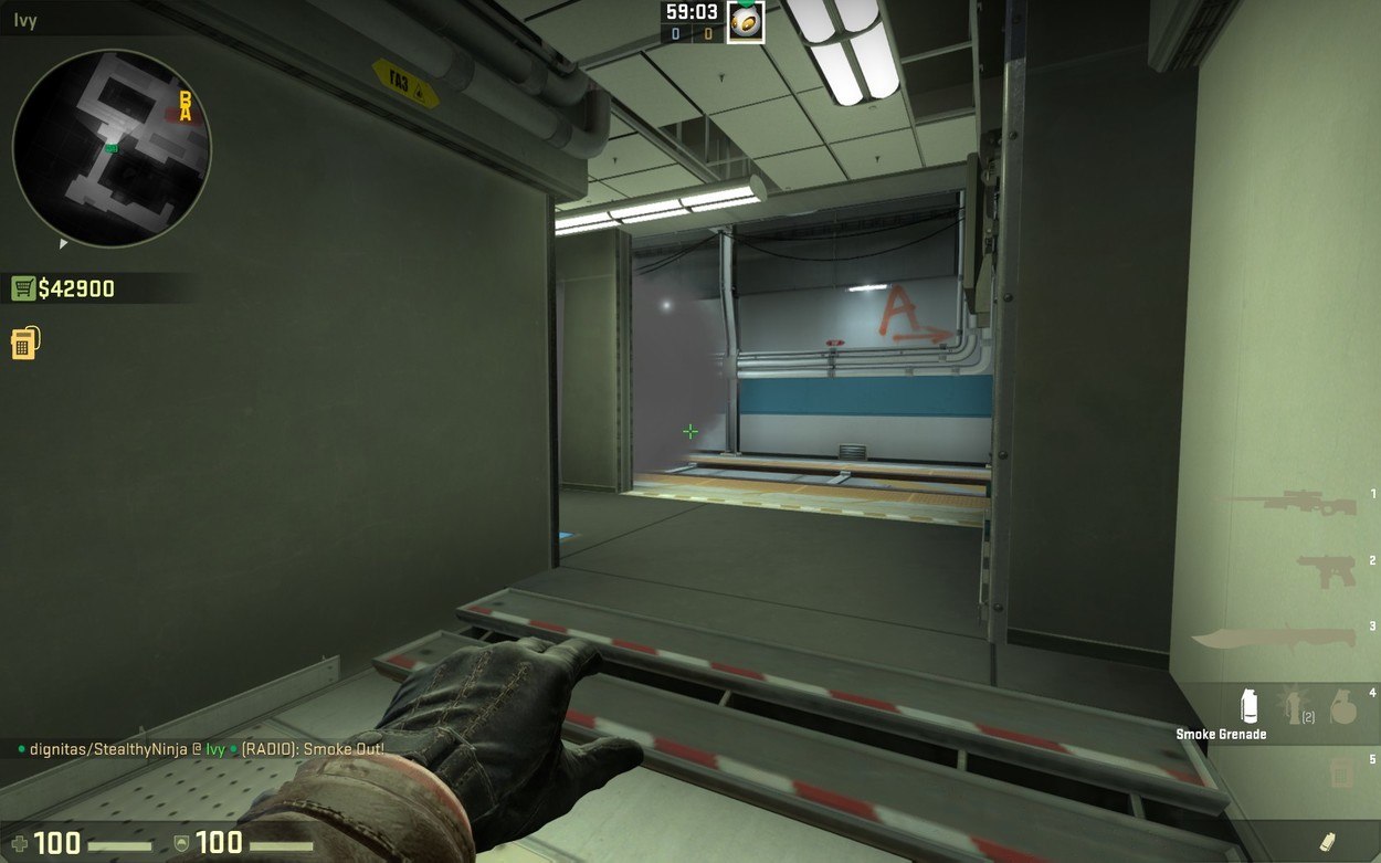 A CSGO Guide to the Ivy Position on Train