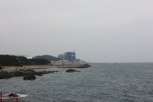 HOTS Busan Bootcamp by MARKO 125 pics