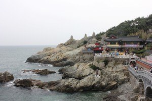 HOTS Busan Bootcamp by MARKO