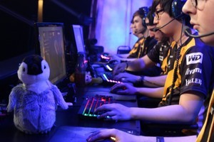 Blizzcon 2016 Opening Week 33 pics