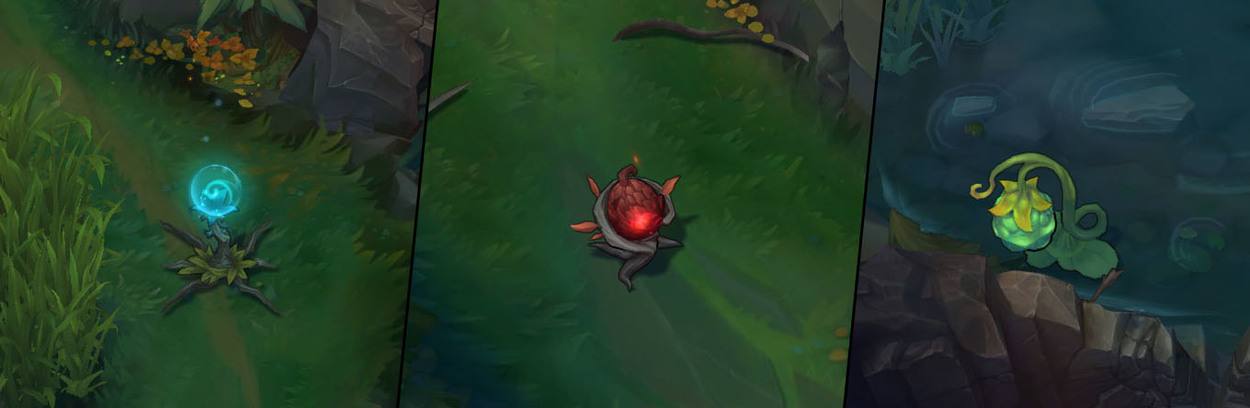 A Breakdown of the New Jungle Flora and Fauna