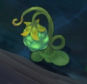 Plants, Objectives, and You: How Plants Have Affected Objective Control