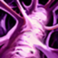 Conquering the Jungle: How to Elise