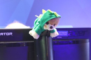 IEM Katowice 2017 123 pics