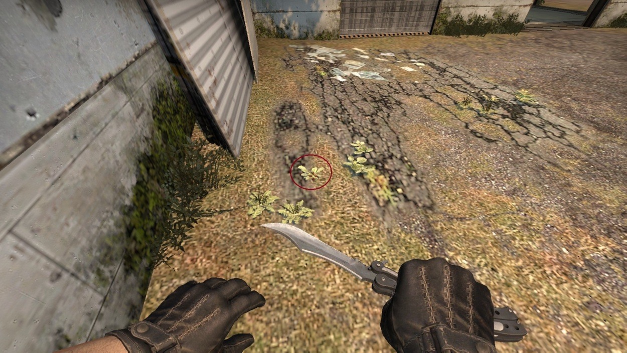 The Ultimate Cache Smoke Guide