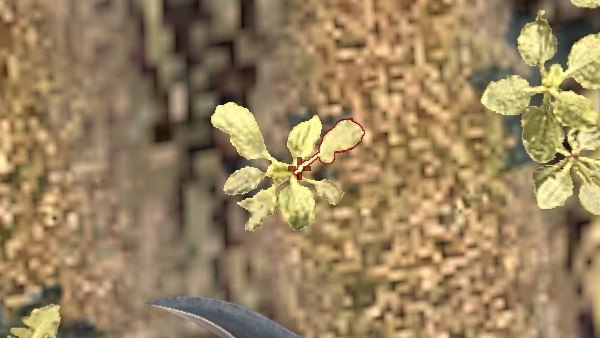 The Ultimate Cache Smoke Guide