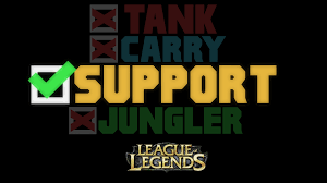 Interview with former Challenger Support and current Carnegie Mellon University LOL player MeNoHaxor