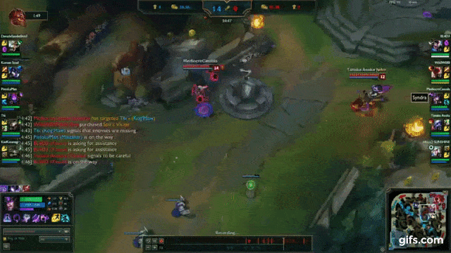 How to Build a Champion Pool for Success