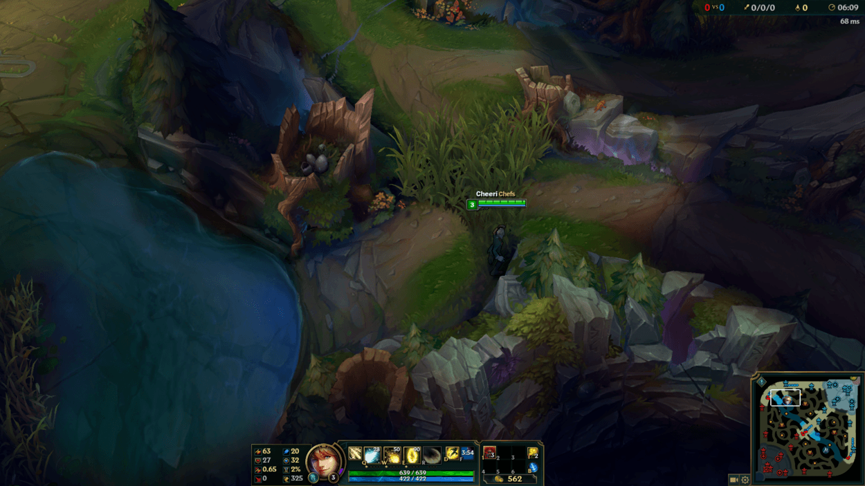 Art of Supporting: In-Depth Analysis of the Support Role