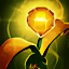 Ocean Views - A Nami Support Guide