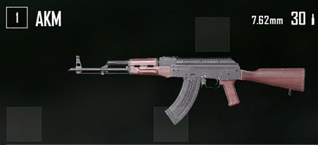 M416 vs. AKM - Which AR Comes Out On Top?