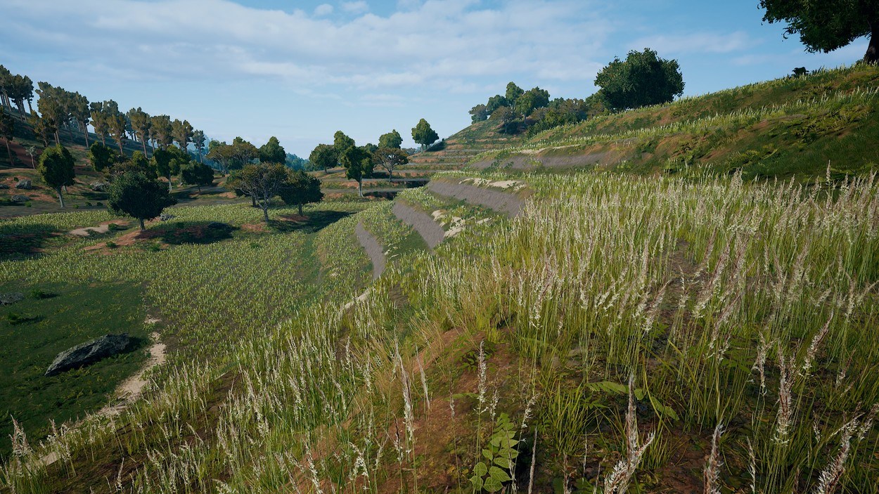 PUBG's "Codename: Savage" First Impressions