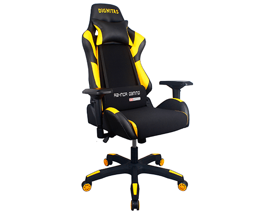 Dignitas Champion Core Hoodie