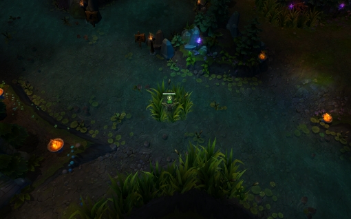 15 baron bush
