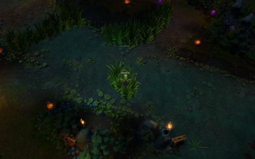 19 dragon bush