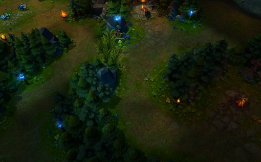 28 blue wraith bush