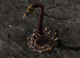 spinecrawler