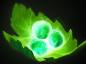 Dota 2 Hero Guide: Raijin Thunderkeg, Storm Spirit
