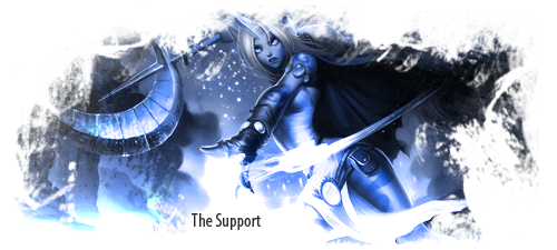 support