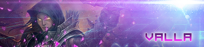 Valla Banner
