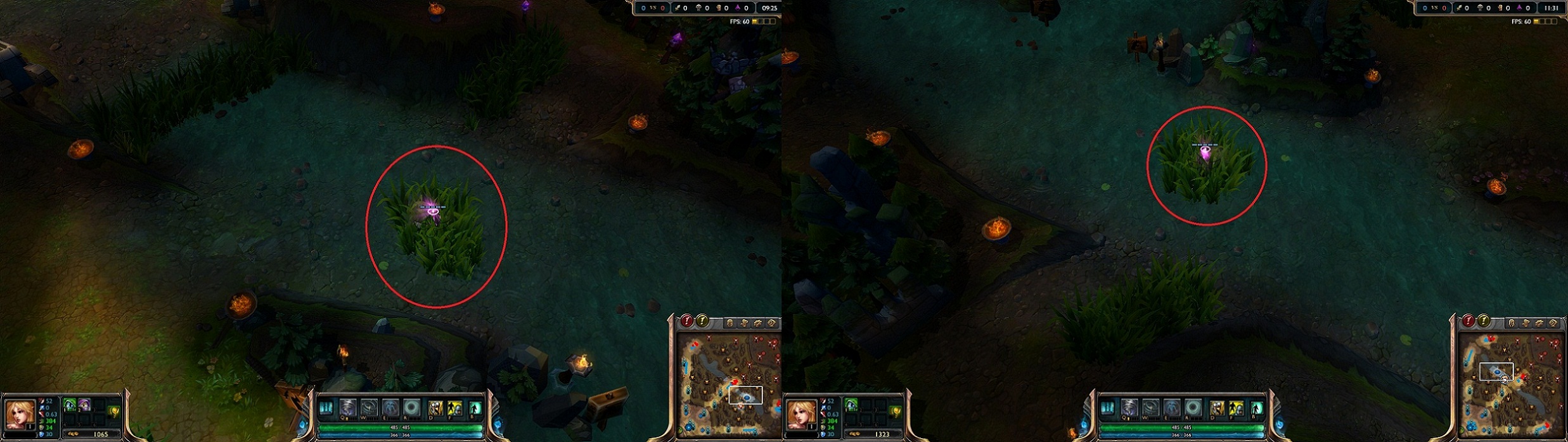 My favorite pink ward brush.